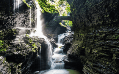 The Ultimate Guide to 30 Easy Finger Lakes Waterfalls with Map 2026