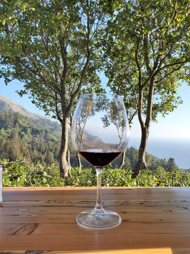 Glass of red wine overlooking the lush green forest and blue ocean.