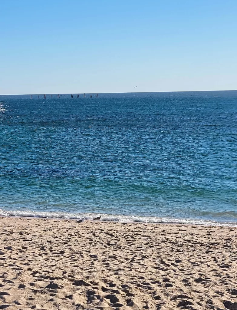 Discover The Best Rocky Point Beaches For 2025 Adventures 6 Quiet stretch of  sandy beach in rocky point.