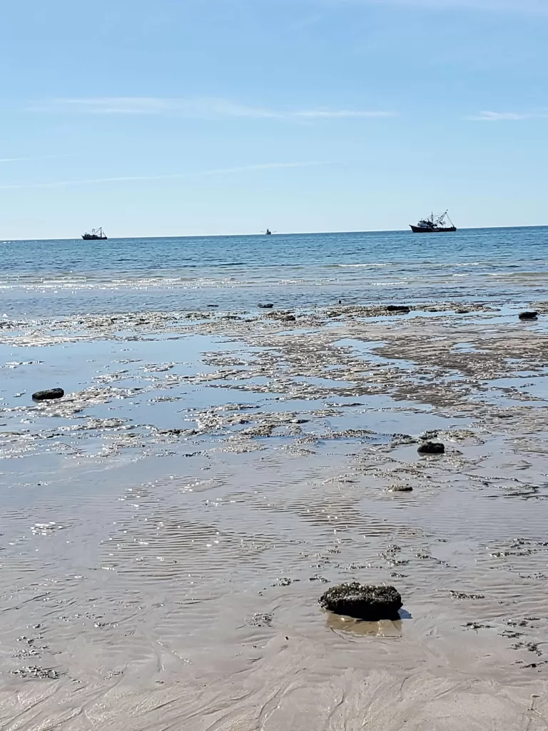 Discover The Best Rocky Point Beaches For 2025 Adventures 10 Tide pools on puerto penasco beaches.