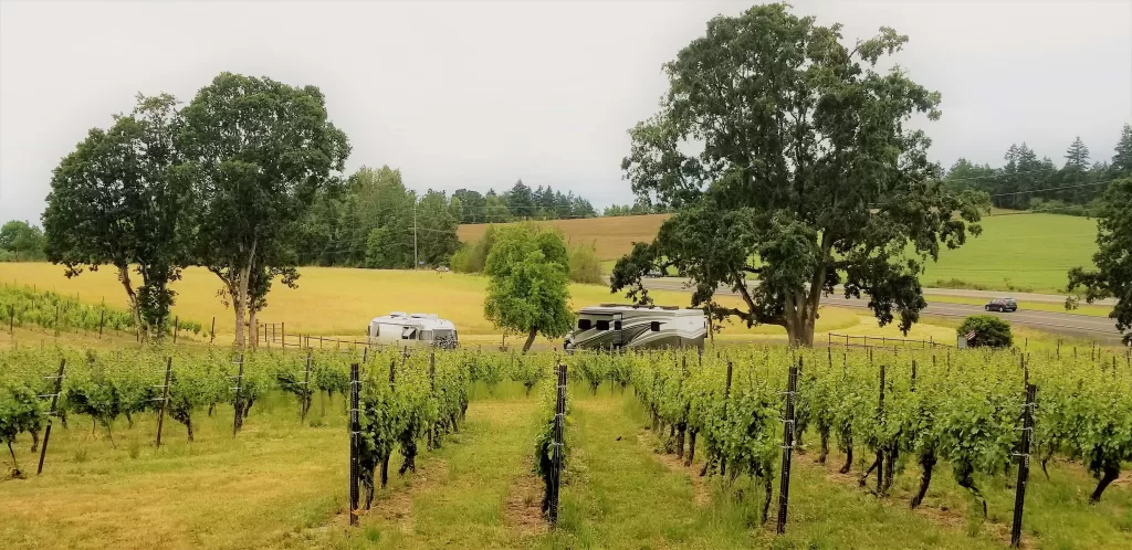 Rv parked in vineyard