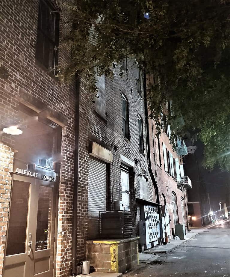 Secret entrance to the alley cat lounge.