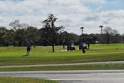 Manatees And More: 25 Things To Do In Crystal River, Florida 2025 33 A golfer in a blue shirt and grey shorts prepares to take a swing on a sunny golf course, with golf carts and other players in the background amidst scattered trees and palm trees under a partly cloudy sky.