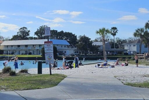 Manatees And More: 25 Things To Do In Crystal River, Florida 2025 16 Families and individuals enjoy a sunny day at a beachfront park with signage indicating 'no alcohol, no dogs allowed in park', amidst a backdrop of townhouses and palm trees.