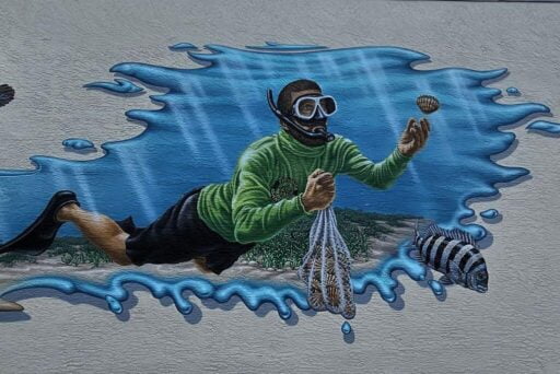 Manatees And More: 25 Things To Do In Crystal River, Florida 2025 20 A vibrant mural of a diver in a green sweater and black shorts collecting scallops into a net, with a striped fish swimming nearby. The backdrop is a stylized blue wave that creates the illusion of the diver being underwater.