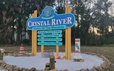 Manatees and More: 25 Things To Do in Crystal River, Florida 2026