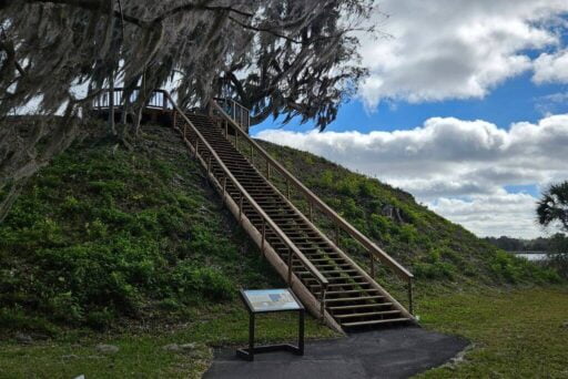 Is Crystal River Worth Visiting In 2025 5 Wooden stairs lead up a lush, grassy hill to an observation deck under a canopy of spanish moss at crystal river archaeological state park. A clear sky with scattered clouds looms above, adding a serene backdrop to the tranquil scene.