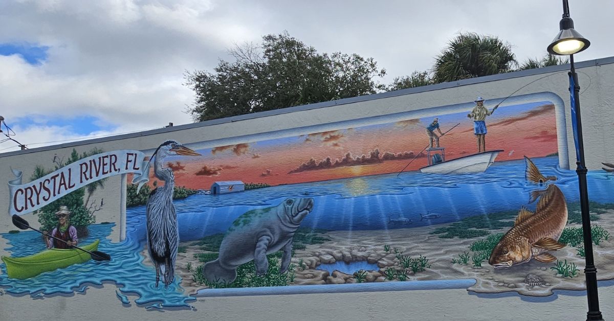 wall mural with manatee, clear springs and sunset depicting Crystal River, FL.