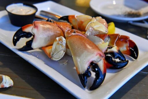 Is Crystal River Worth Visiting In 2025 6 Plump stone crab claws with black-tipped pincers are artfully arranged on a white square plate, served with a side of creamy dipping sauce and a lemon wedge, ready to be enjoyed as a fresh seafood delicacy.