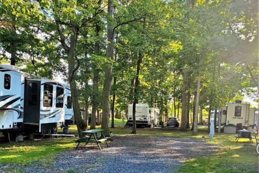Best Campgrounds Near Philadelphia, Pa For 2025 10 Tranquil rv campground nestled among mature oak trees with dappled sunlight shining through the leaves. A picnic table adds to the inviting outdoor setting, ideal for a relaxing retreat into nature.