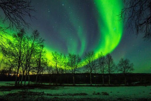 Rv Apps: Which Ones Do You Need? 11 Mesmerizing display of the northern lights (aurora borealis) illuminates the night sky with vibrant green waves of light. Silhouettes of leafless trees stand in the foreground, framing the stunning natural phenomenon against a backdrop of stars. The scene is serene and awe-inspiring, capturing the beauty of a winter night.
