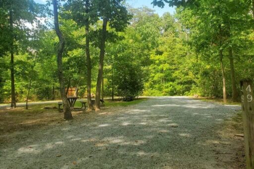 Rv Friendly Campgrounds Near Washington, Dc 2025 10 A serene campground with a gravel path winding through lush green trees, marked by a wooden post labeled “49. ” a picnic table is situated under the shade of the trees, creating a peaceful spot for outdoor relaxation in a natural, wooded setting. The vibrant foliage gives a sense of calm and isolation in nature.