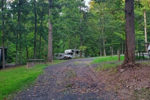 Rv Friendly Campgrounds Near Washington, Dc 2025 11 A campground nestled in a dense forest with a gravel path leading toward parked rvs, surrounded by tall trees and grassy areas. Picnic tables are scattered around, providing convenient spots for campers to relax and enjoy the natural surroundings. The scene feels quiet and welcoming, ideal for a family camping experience.