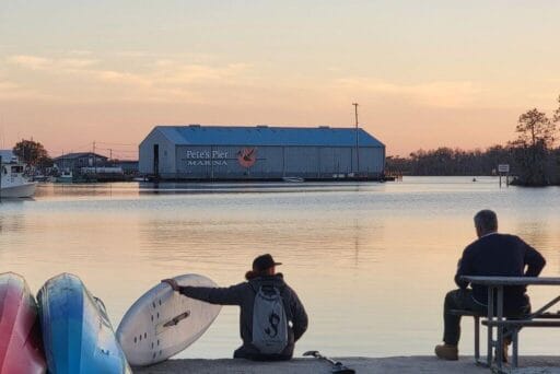Swim With Manatees In 2025: An Unforgettable Adventure 8 A tranquil waterfront scene at sunset with a view of pete's pier marina. A person with a paddleboard sits near colorful kayaks in the foreground, while another individual relaxes on a bench, both overlooking the calm water. The marina building is prominently visible across the water, framed by a serene evening sky.