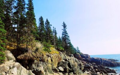 The Ultimate Acadia National Park Itinerary for 2026: Your Perfect 3-Day Plan