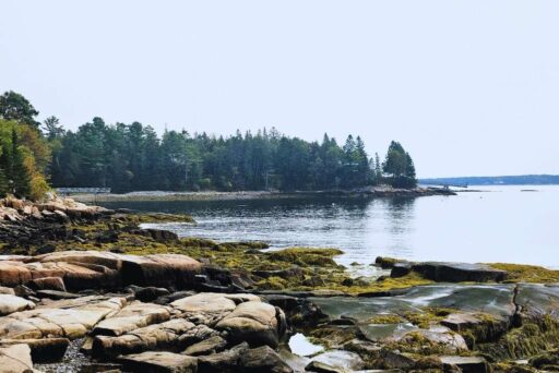 Beaches In Acadia National Park: More Than Just Sand 13 Barley beach acadia