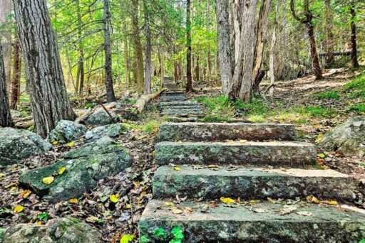 The Ultimate Acadia National Park Itinerary For 2025: Your Perfect 3-Day Plan 3 Stone steps along compass harbor trail in acadia national park, surrounded by lush forest and dappled sunlight filtering through trees.