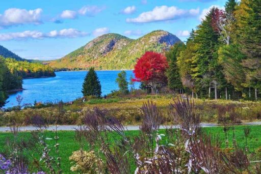 Beaches In Acadia National Park: More Than Just Sand 9 Jordan pond with vibrant autumn foliage, clear blue water, and the bubble mountains in the background.