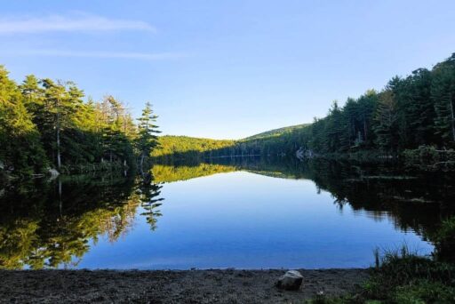 Beaches In Acadia National Park: More Than Just Sand 20 A still pond reflecting lush green trees and distant hills under a clear sky, creating a mirror-like effect