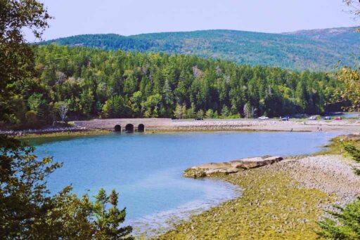 Beaches In Acadia National Park: More Than Just Sand 7 Otter cove with a stone bridge, calm blue water, rocky shoreline, and lush green forest in the background.