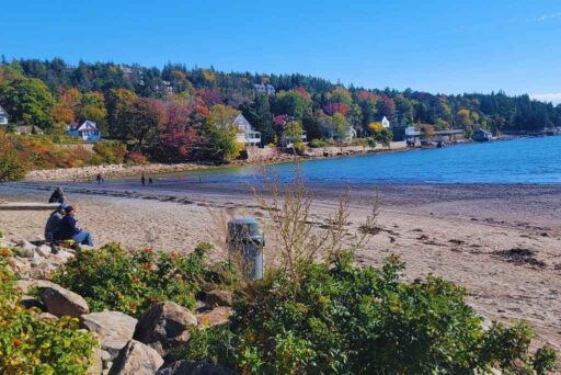 Beaches In Acadia National Park: More Than Just Sand 12 Seal harbor beach with sandy shore, blue water, and hillside houses surrounded by autumn foliage.