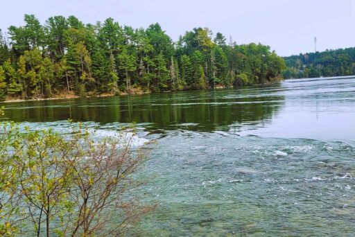 The Ultimate Acadia National Park Itinerary For 2025: Your Perfect 3-Day Plan 17 Tidal falls preserve in maine, featuring a rushing tidal river, lush green shoreline, and a peaceful forested backdrop.