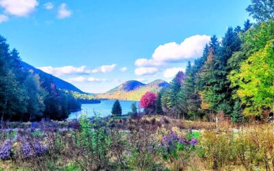 2026 Acadia National Park Vacation Guide for Everyone