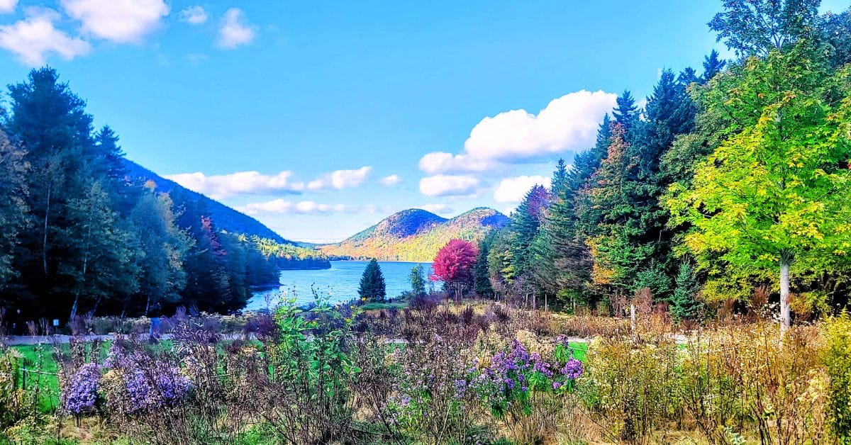 acadia_national_park_vacation Jordan Pond in Acadia National Park, framed by wildflowers and fall foliage, a must-see on an Acadia National Park vacation.
