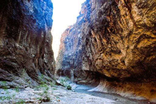 11 Fun Things To Do In Terlingua You Can’t Miss In 2025 12 Narrow canyon with steep, towering rock walls and sparse greenery lining the rocky floor under bright daylight.