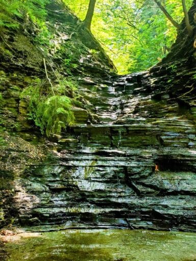 The Ultimate Guide To 30 Easy Finger Lakes Waterfalls With Map 2025 30 Eternal flame waterfall flowing lightly over a rock ledge in a shaded gorge surrounded by trees and mossy cliffs.