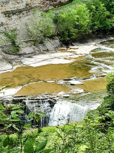 The Ultimate Guide To 30 Easy Finger Lakes Waterfalls With Map 2025 17 Lower falls at letchworth state park flowing over a rocky ledge, surrounded by forest and gorge walls.