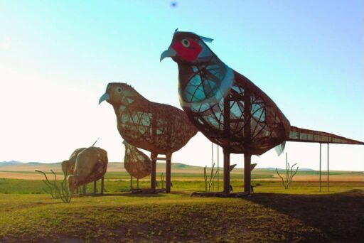 Giant Pheasants On The Enchanted Highway In North Dakota Four towering metal pheasant sculptures stand on open grassland, part of a quirky roadside attraction.