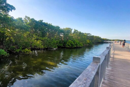 Things To Do In The Everglades: How To Choose The Right Area For Your Visit 13 Visitors fishing from a wooden boardwalk overlooking mangroves and calm water at biscayne national park on a sunny day.