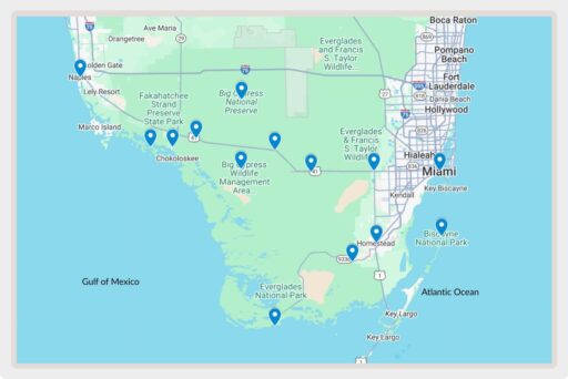 Things To Do In The Everglades: How To Choose The Right Area For Your Visit 3 Labeled map of the everglades showing key destinations and nearby cities between the gulf of mexico and the atlantic ocean.