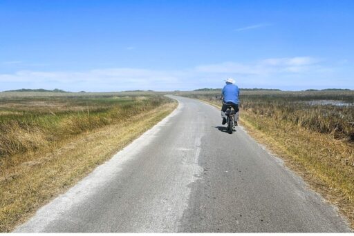 Things To Do In The Everglades: How To Choose The Right Area For Your Visit 14 Person biking along a paved trail through golden everglades marshland under clear blue skies during the dry season.
