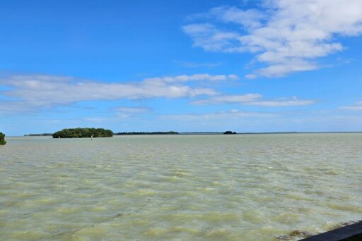 Things To Do In The Everglades: How To Choose The Right Area For Your Visit 10 View of coastal waters from flamingo in everglades national park, where the gulf of mexico and atlantic ocean meet.