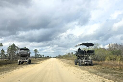 Things To Do In The Everglades: How To Choose The Right Area For Your Visit 4 Two swamp buggies parked along a dirt road in the everglades under cloudy skies, ready for off-road tours through the wetlands.