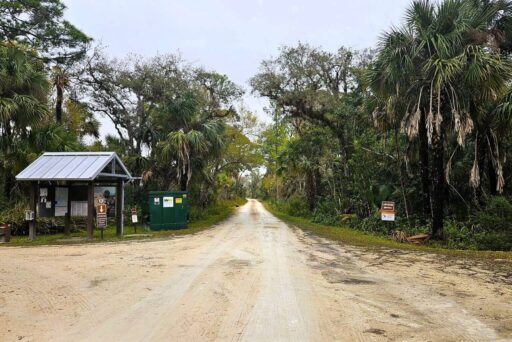 Things To Do In The Everglades: How To Choose The Right Area For Your Visit 19 Entrance to a trailhead in the everglades surrounded by palm trees, informational signs, and a dirt road leading into the forest.