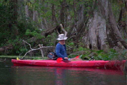 Things To Do In The Everglades: How To Choose The Right Area For Your Visit 7 Man kayaking through a cypress-lined waterway in the everglades, surrounded by lush greenery and calm water.