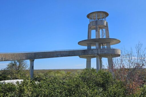Things To Do In The Everglades: How To Choose The Right Area For Your Visit 11 Concrete observation tower at shark valley in everglades national park, overlooking wetlands under a clear blue sky.
