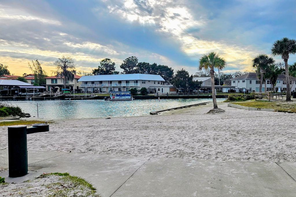Sandy waterfront area in crystal river with palm trees calm water and houses along the shoreline at sunset.