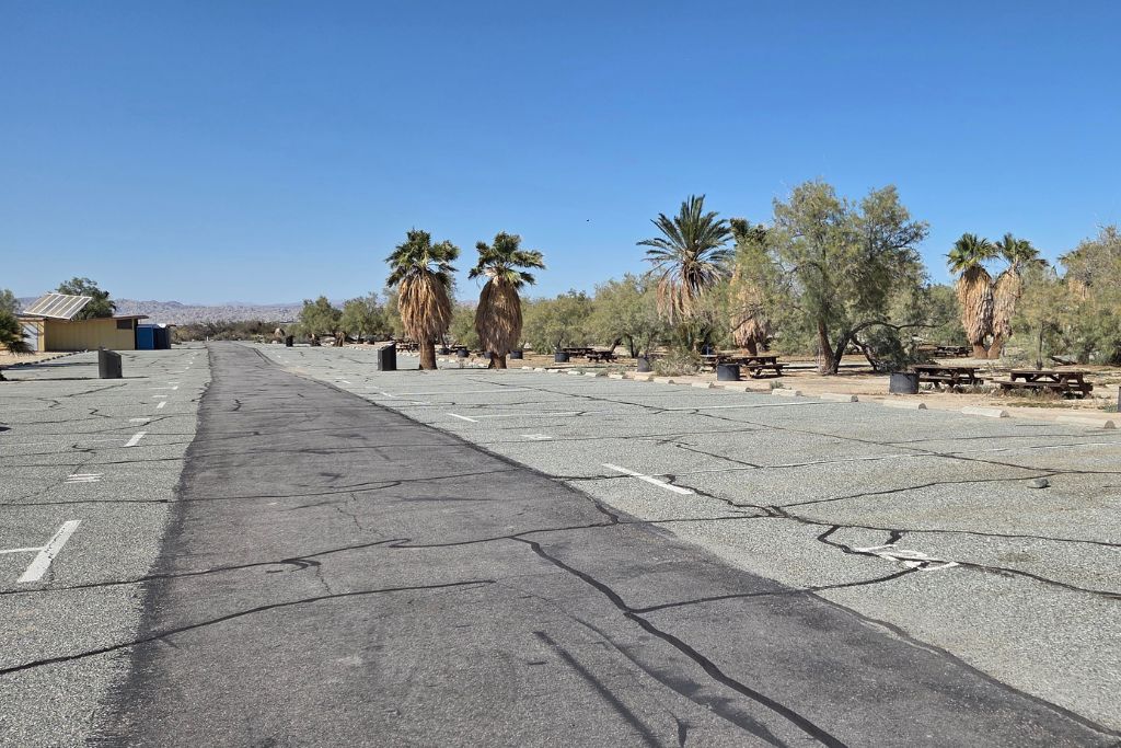 Visiting The Salton Sea: California’s Strangest Desert Lake 1 Empty campground road lined with palm trees at mecca beach campground near the salton sea.
