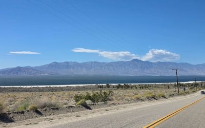 Visiting the Salton Sea: California’s Strangest Desert Lake