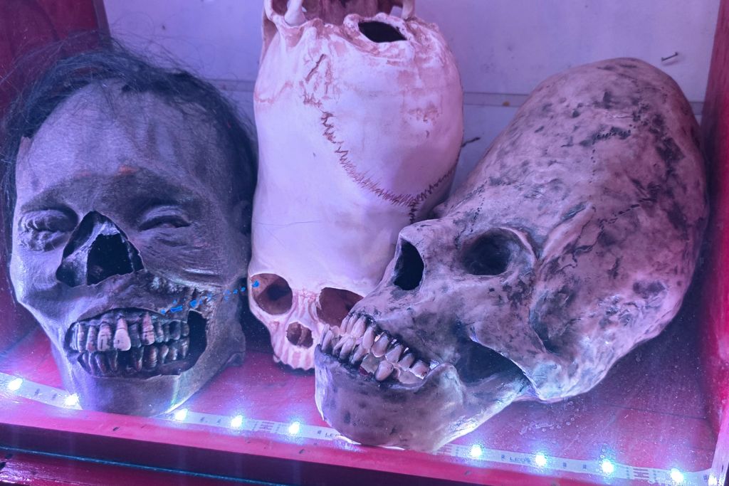 Missouri Road Trip Itinerary: Branson, The Ozarks &Amp; Beyond 18 Odd preserved display inside the uranus sideshow museum on our missouri road trip.