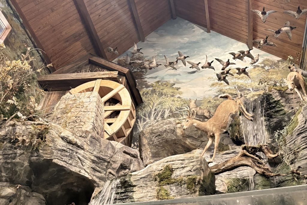Is Branson Worth Visiting? Our Thoughts After Three Days 4 Indoor wildlife display at bass pro shops in branson featuring deer, flying ducks, waterfalls, and a rustic mill scene. The immersive nature exhibits make bass pro a fun stop even if you're not planning to shop.