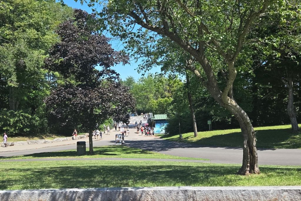 Is Niagara Falls Worth Visiting? What We Think After Several Visits 12 A broad shaded lawn and tree lined paths give visitors places to rest inside niagara falls state park. People walk through the park while large trees create patches of shade away from the busy waterfall overlooks.