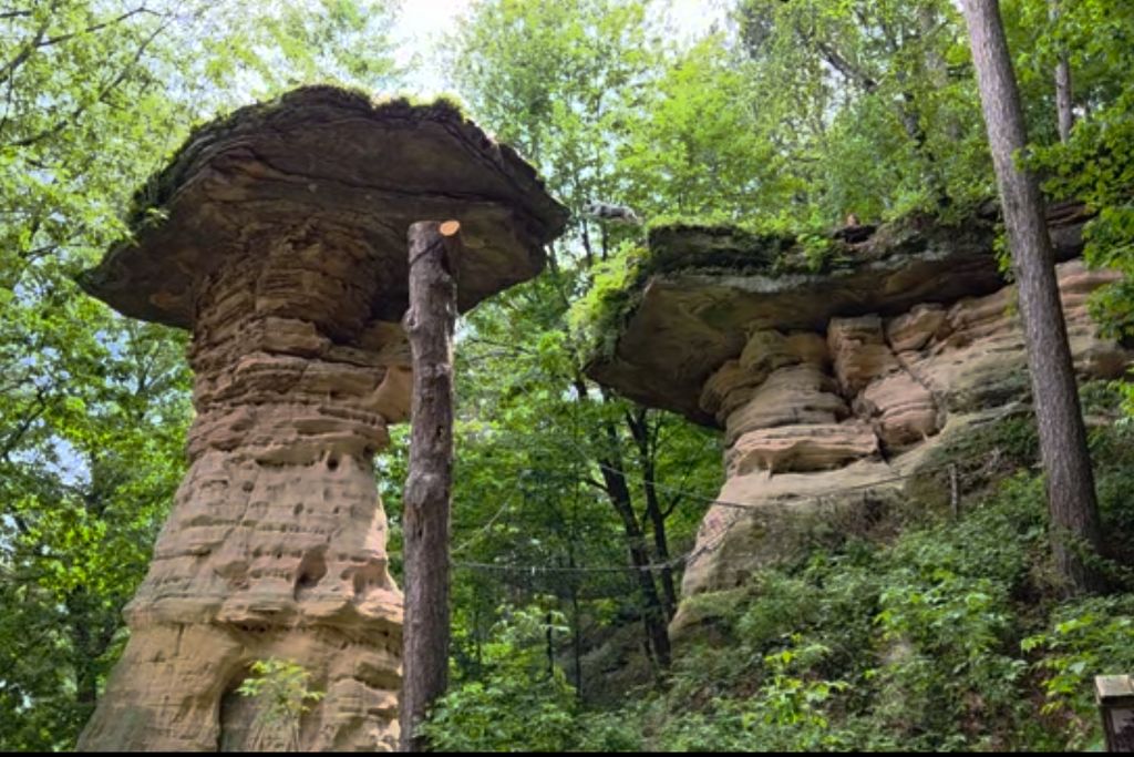 Wisconsin Dells For Adults: Beyond The Waterparks 7 A dog leaps between the sandstone formations at stand rock in wisconsin dells surrounded by green forest.