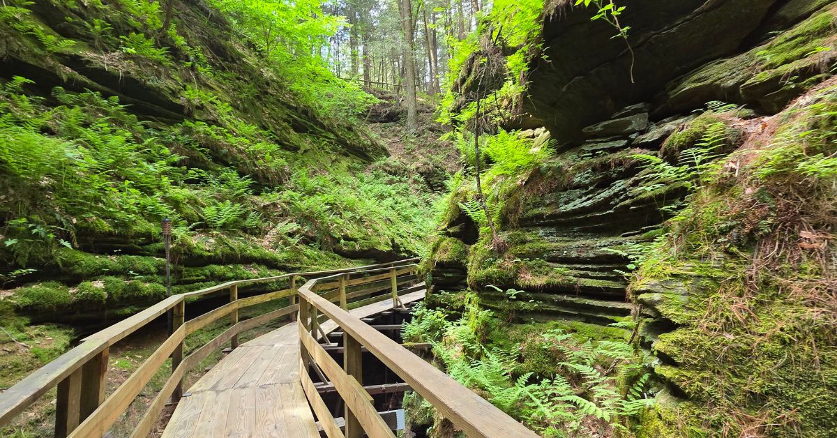 Witches Gulch Boardwalk in Wisconsin Dells Witches Gulch boardwalk winds between mossy sandstone cliffs and bright green ferns in Wisconsin Dells.
