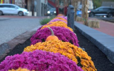 New Hope and Lambertville Fall Day Trip Guide